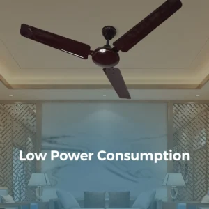 Ceiling Fan